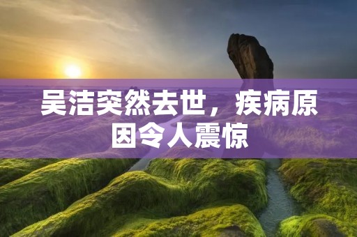 吴洁突然去世,疾病原因令人震惊 吴洁突然去世,疾病原因令人震惊