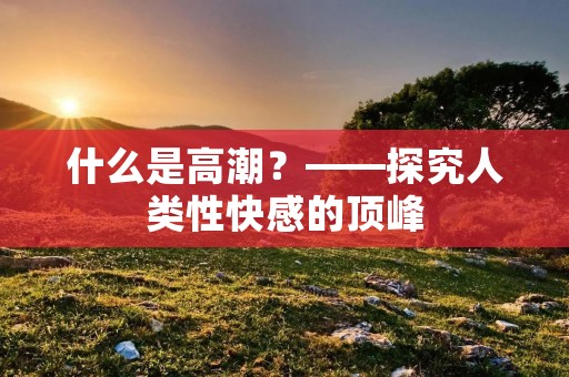 什么是**?——探究人类性**的顶峰 什么是**?——探究人类性**的顶峰