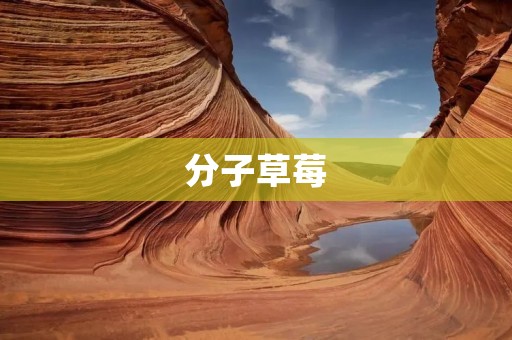 分子草莓：未来草莓产业的新趋势