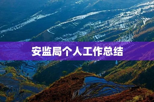 安监局个人工作总结