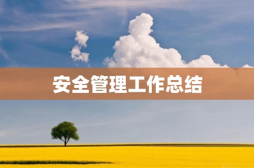 安全管理工作总结