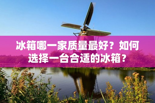 冰箱哪一家质量最好？如何选择一台合适的冰箱？