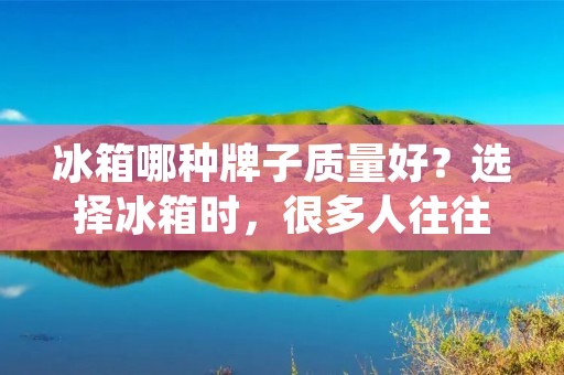 冰箱哪种牌子质量好？选择冰箱时，很多人往往会被各种品牌、型号和功能所迷惑。不同品牌的冰箱在设计、技术、性能等方面有所不同，而且价格也有所差异。那么，究竟哪种冰箱品牌质量更好呢？下面就为大家介绍几种常见的冰箱品牌，分析它们的优缺点，帮助大家选择适合自己的冰箱。