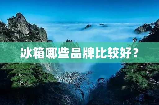 冰箱哪些品牌比较好？