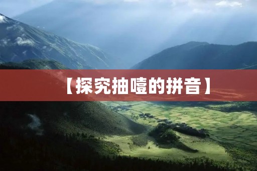 【探究抽噎的拼音】