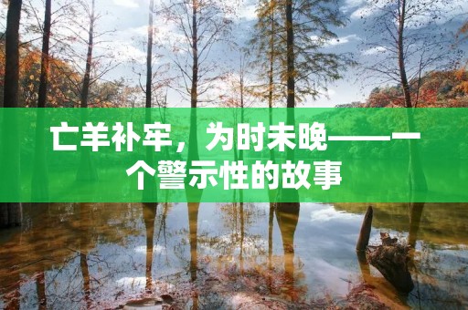 亡羊补牢,为时未晚——一个警示性的故事