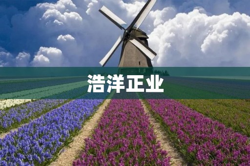 浩洋正业：海洋环保的推动者