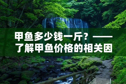 甲鱼多少钱一斤？——了解甲鱼价格的相关因素