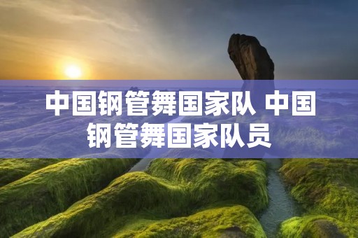 中国钢管舞国家队 中国钢管舞国家队员