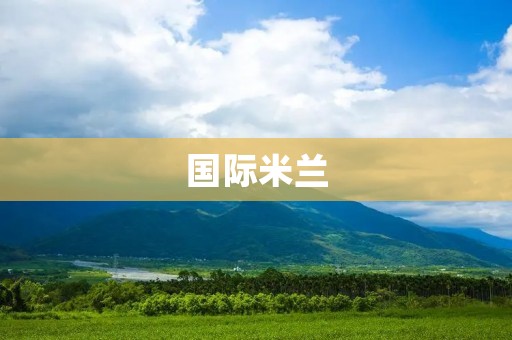 国际米兰：一支历史悠久的意大利传统强队