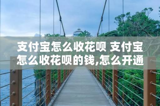 支付宝怎么收花呗 支付宝怎么收花呗的钱,怎么开通 支付宝怎么收花呗 支付宝怎么收花呗的钱,怎么开通