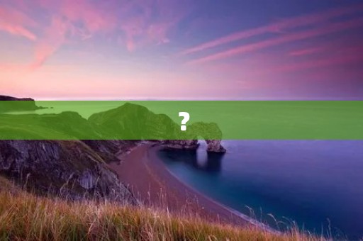 ? ?