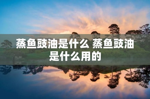 蒸鱼豉油是什么 蒸鱼豉油是什么用的