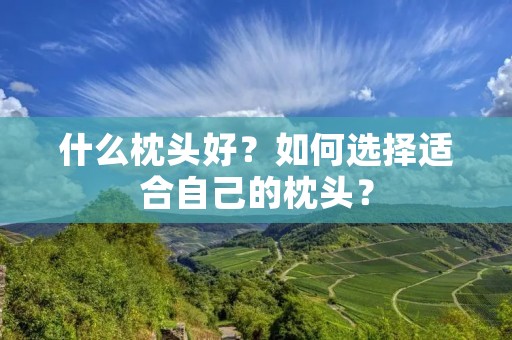 什么枕头好?如何选择适合自己的枕头? 什么枕头好?如何选择适合自己的枕头?