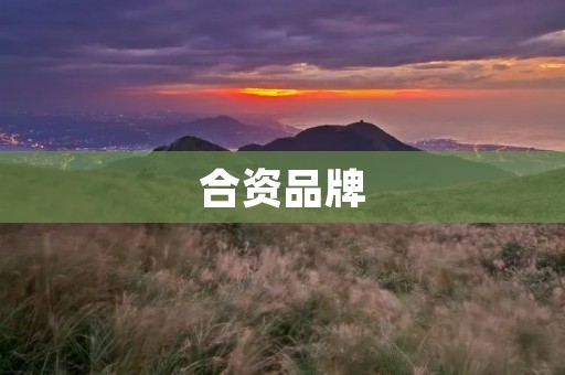 合资品牌:在全球市场上的竞争优势 合资品牌:在全球市场上的竞争优势
