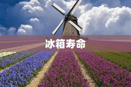 冰箱寿命:能使用多少年需要更换 冰箱寿命:能使用多少年需要更换