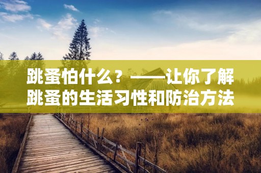 跳蚤怕什么?——让你了解跳蚤的生活习性和防治方法 跳蚤怕什么?——让你了解跳蚤的生活习性和防治方法