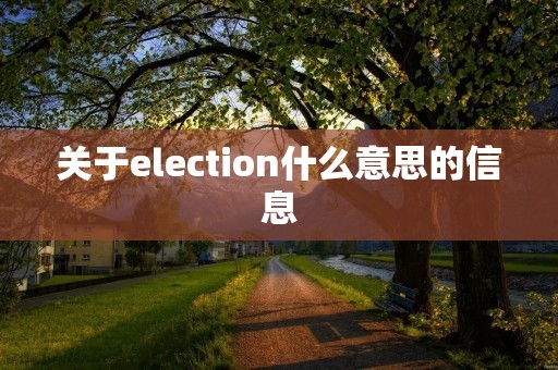 关于election什么意思的信息