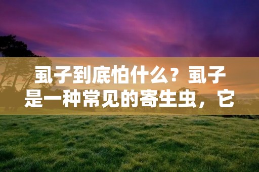 虱子到底怕什么？虱子是一种常见的寄生虫，它们往往会寄生在人类或动物的身上，引起瘙痒和皮肤炎症等症状。虱子怕什么？这是许多人都想知道的问题，因为只有了解虱子的害怕因素，才能更好地预防和控制虱子的滋生。