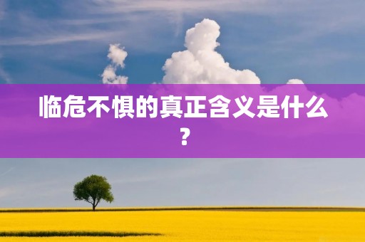 临危不惧的真正含义是什么?