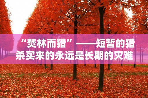 “焚林而猎”——短暂的猎杀买来的永远是长期的灾难 “焚林而猎”——短暂的猎杀买来的永远是长期的灾难