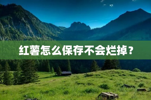 红薯怎么保存不会烂掉？