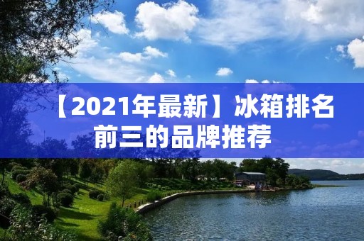 【2021年最新】冰箱排名前三的品牌推荐