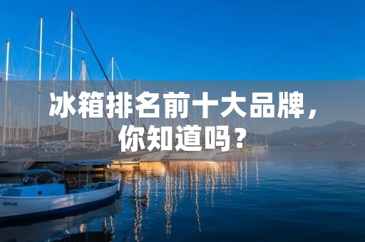 冰箱排名前十大品牌,你知道吗? 冰箱排名前十大品牌,你知道吗?