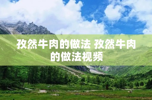 孜然牛肉的做法 孜然牛肉的做法视频