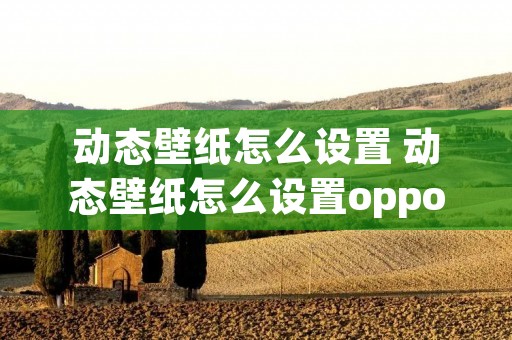 动态壁纸怎么设置 动态壁纸怎么设置oppo