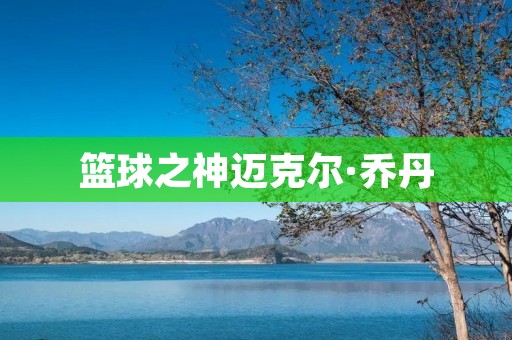 篮球之神迈克尔·乔丹 篮球之神迈克尔·乔丹