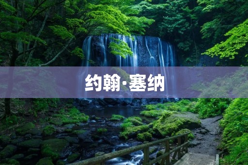 约翰·塞纳:从摔跤手到全方位娱乐巨星 约翰·塞纳:从摔跤手到全方位娱乐巨星
