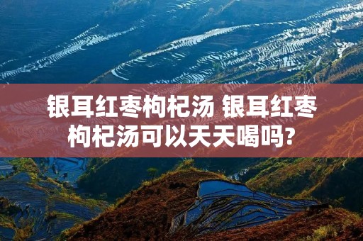 银耳红枣枸杞汤 银耳红枣枸杞汤可以天天喝吗?