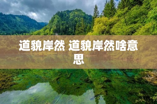 道貌岸然 道貌岸然啥意思 道貌岸然 道貌岸然啥意思