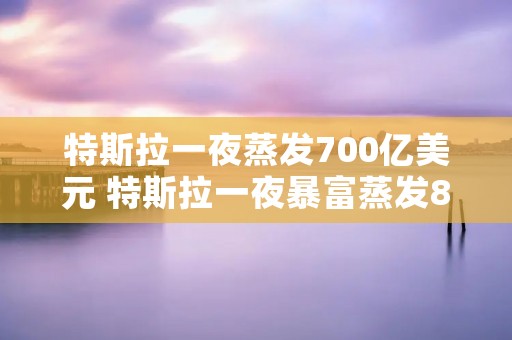 特斯拉一夜蒸发700亿美元 特斯拉一夜暴富蒸发800亿美元 新闻