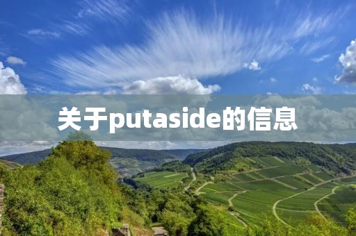 关于putaside的信息