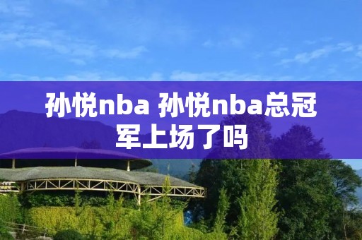 孙悦nba 孙悦nba总冠军上场了吗 孙悦nba 孙悦nba总冠军上场了吗