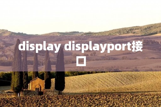 display displayport接口
