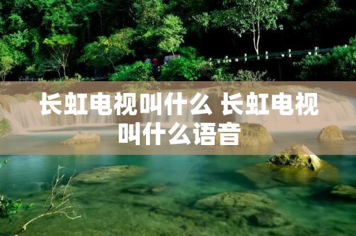 长虹电视叫什么 长虹电视叫什么语音