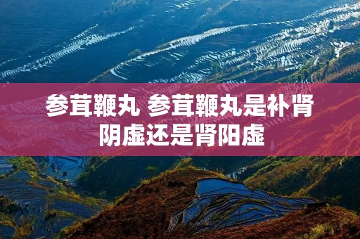 参茸鞭丸 参茸鞭丸是补肾阴虚还是肾阳虚