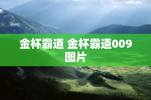 金杯霸道 金杯霸道009图片 金杯霸道 金杯霸道009图片