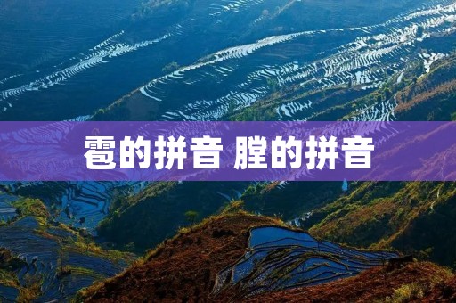 雹的拼音 膛的拼音