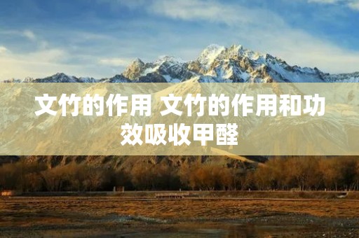 文竹的作用 文竹的作用和功效吸收甲醛