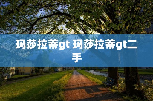 玛莎拉蒂gt 玛莎拉蒂gt二手