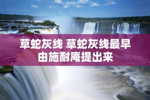 草蛇灰线 草蛇灰线最早由施耐庵提出来