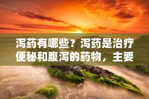 泻药有哪些?泻药是治疗便秘和腹泻的药物,主要通过促进肠道蠕动、增加粪便水分或减少肠道液体吸收等方式发挥作用。根据药物作用机制和用途不同,泻药可以分为多种类型。下面将详细介绍泻药的各种类型和常见的药物。 泻药有哪些?泻药是治疗便秘和腹泻的药物,主要通过促进肠道蠕动、增加粪便水分或减少肠道液体吸收等方式发挥作用。根据药物作用机制和用途不同,泻药可以分为多种类型。下面将详细介绍泻药的各种类型和常见的药物。