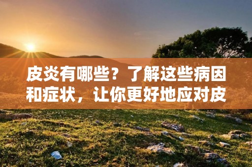皮炎有哪些?了解这些病因和症状,让你更好地应对皮肤问题! 皮炎有哪些?了解这些病因和症状,让你更好地应对皮肤问题!