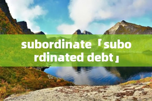 subordinate「subordinated debt」