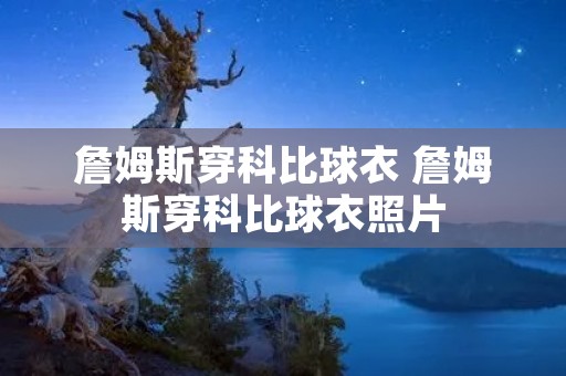 詹姆斯穿科比球衣 詹姆斯穿科比球衣照片 詹姆斯穿科比球衣 詹姆斯穿科比球衣照片