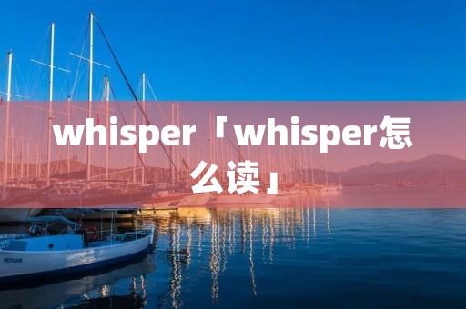 whisper「whisper怎么读」